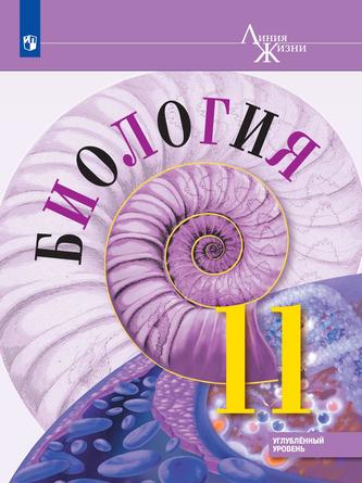 Превью