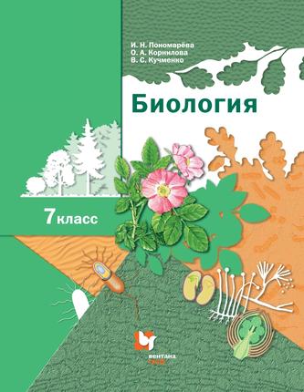 Превью