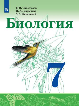 Превью