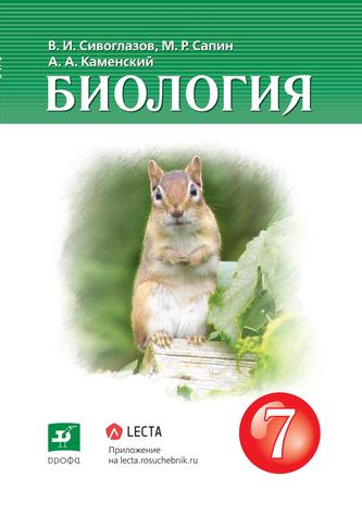 Превью
