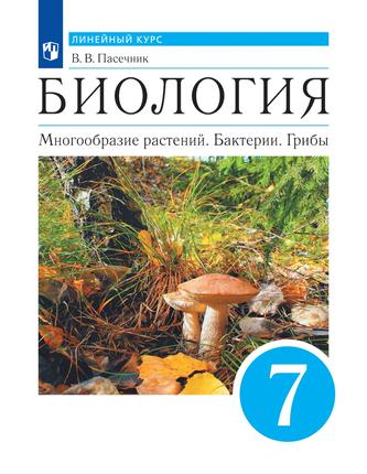Превью