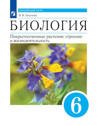Превью