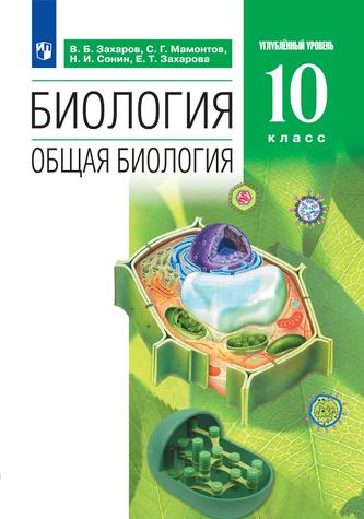 Превью