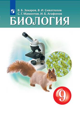 Превью