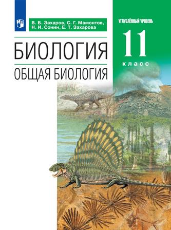 Превью