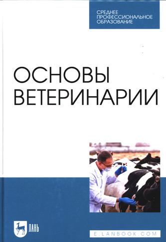 Превью