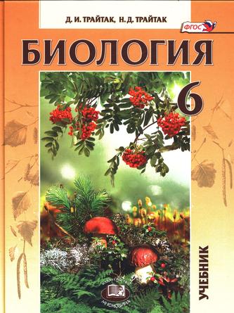 Превью