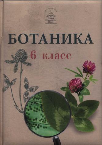 Превью