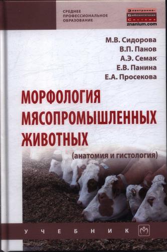 Превью