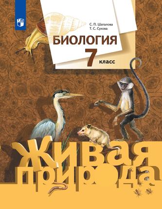 Превью