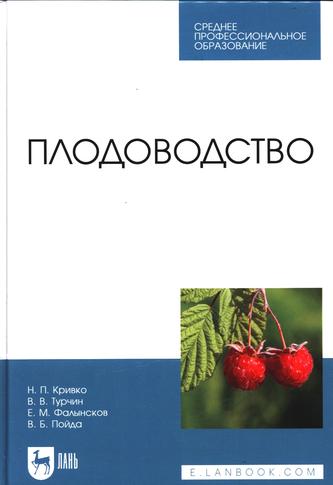 Превью