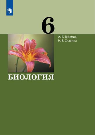 Превью