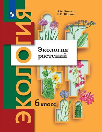 Превью