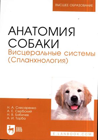 Превью