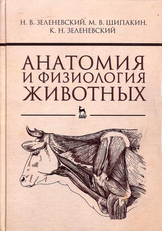 Превью