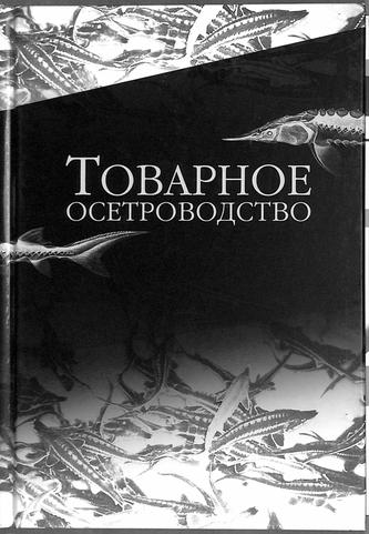 Превью