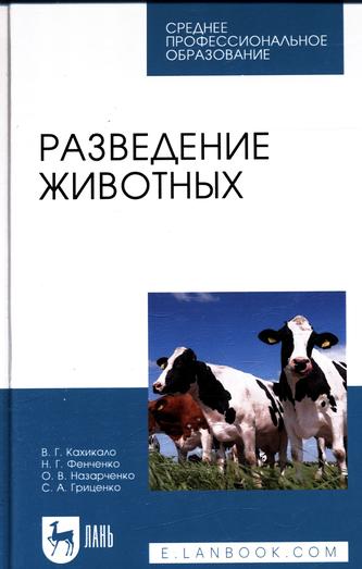 Превью