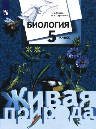 Превью