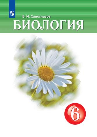 Превью