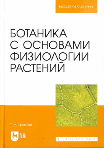 Превью