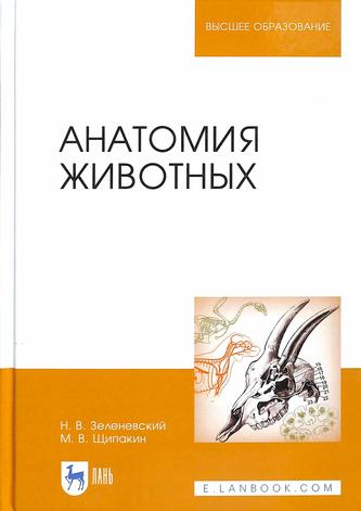 Превью