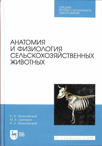 Превью
