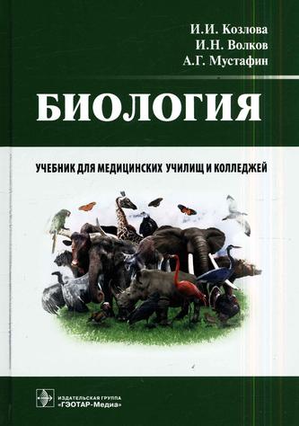 Превью