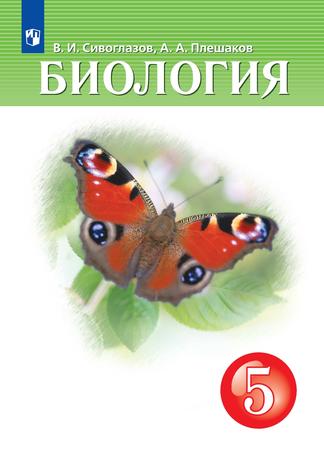 Превью