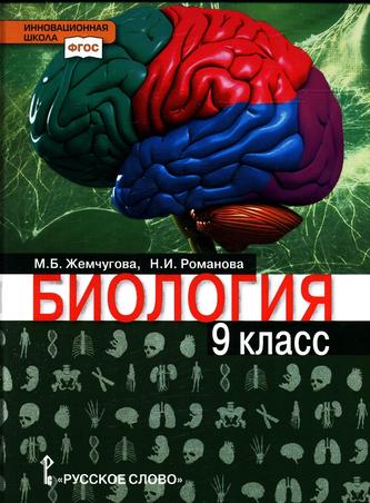 Превью