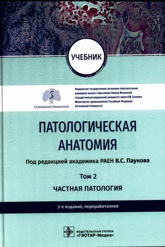 Превью