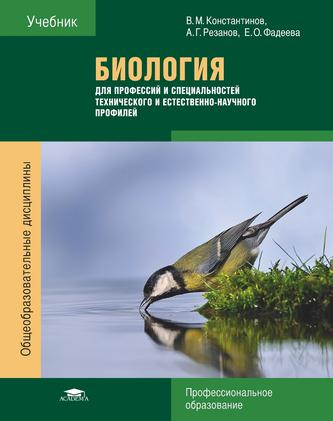 Превью