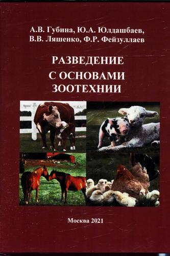 Превью