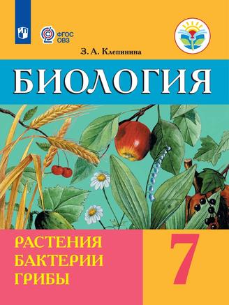 Превью