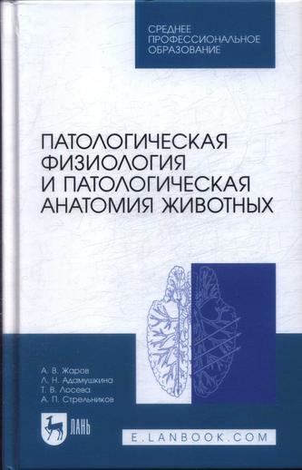 Превью