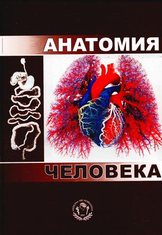 Превью