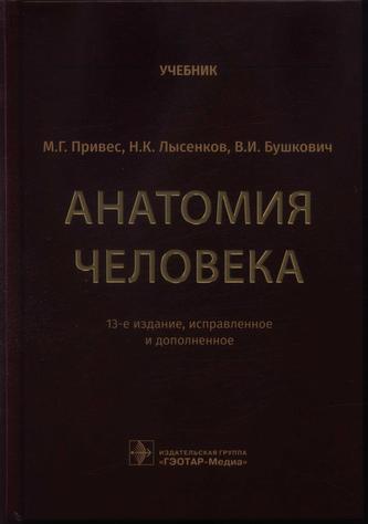 Превью