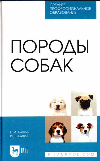 Превью