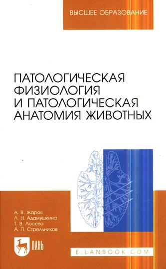 Превью