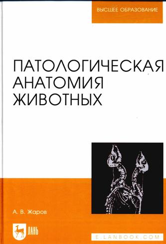 Превью