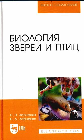 Превью
