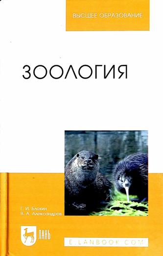 Превью