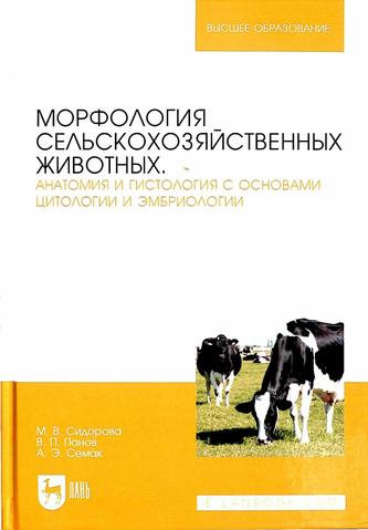 Превью