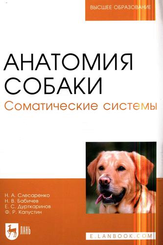 Превью