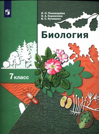 Превью