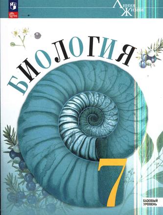 Превью