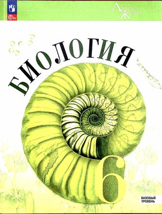 Превью