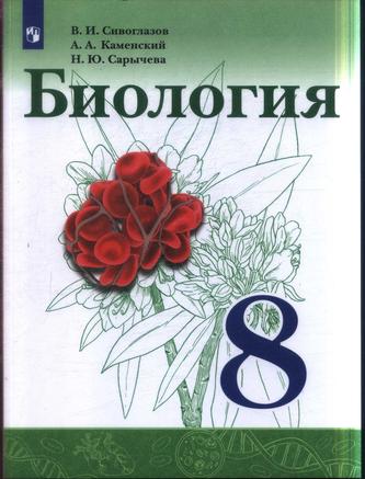 Превью