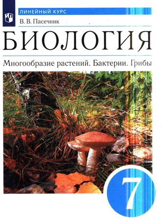 Превью