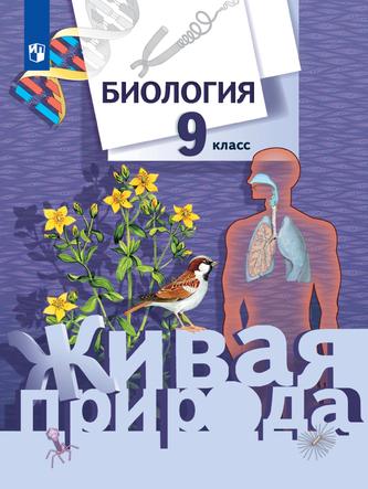 Превью