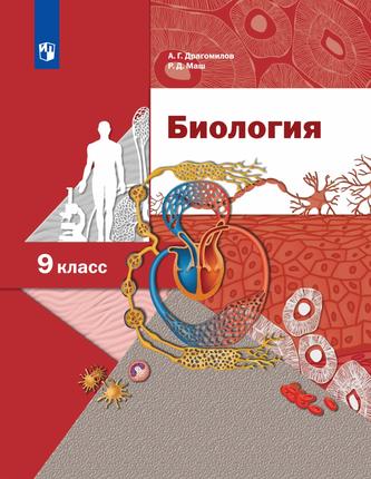 Превью